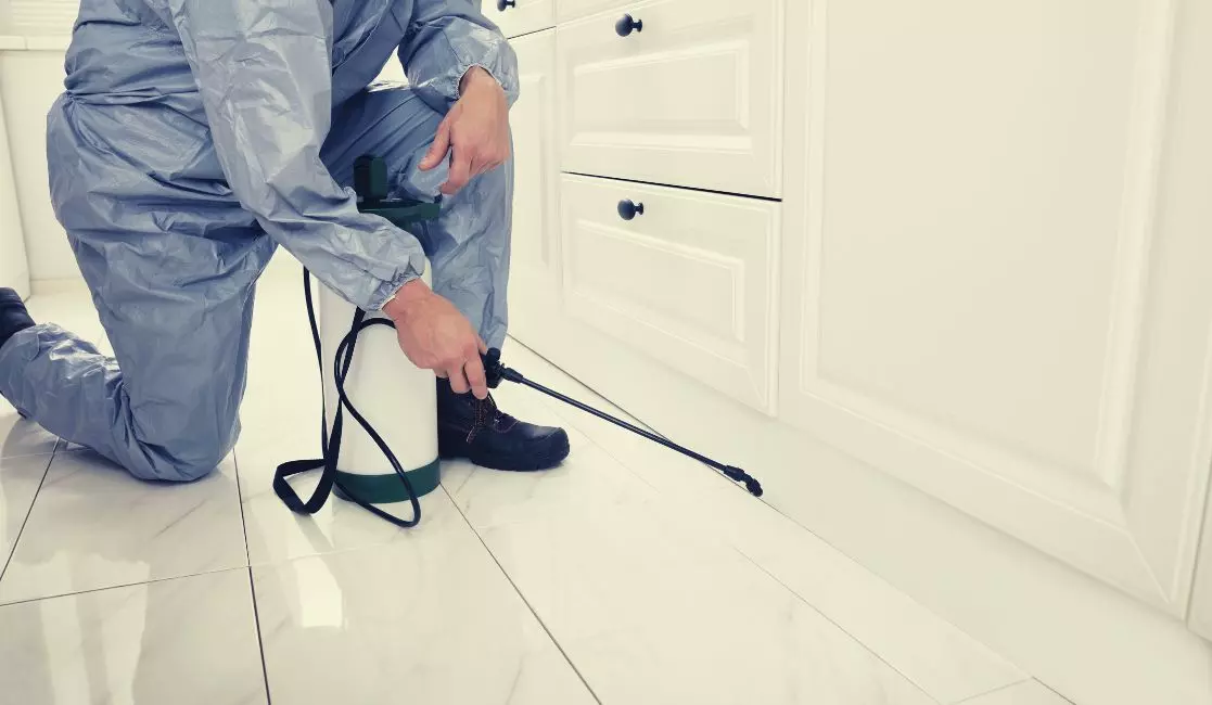 Pest control expert spraying kitchen