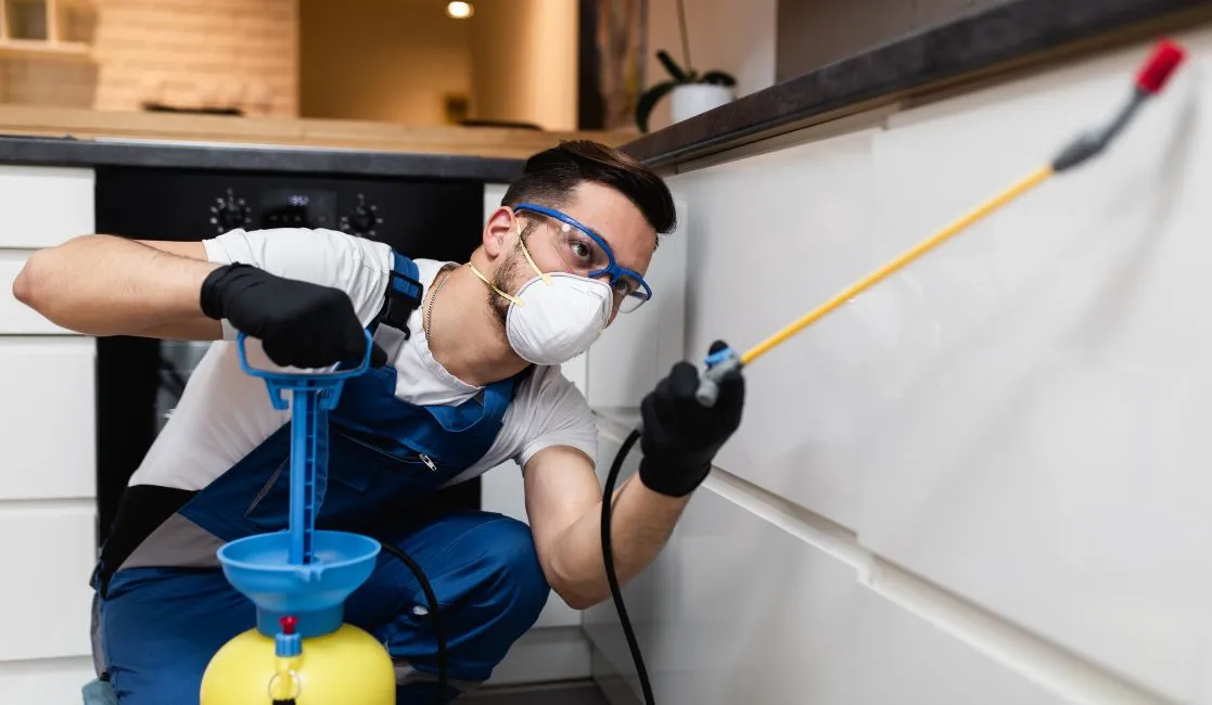 Pest control experts exterminating a warehouse