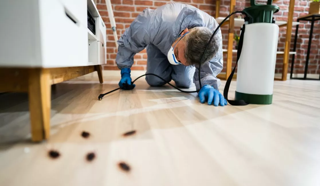 Pest control expert exterminating bugs