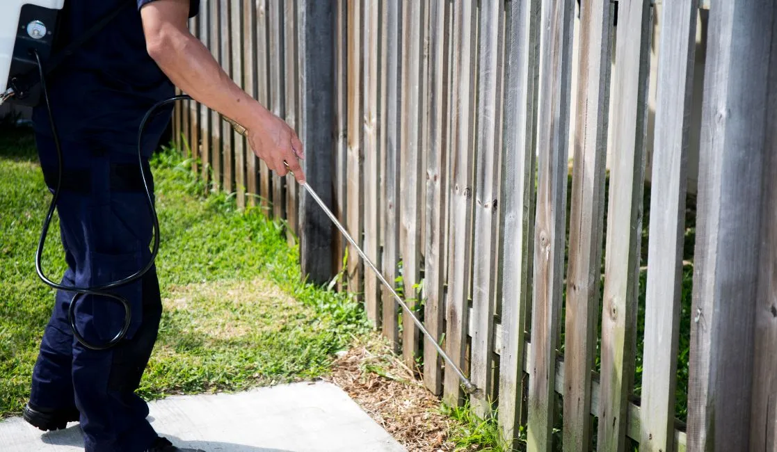 Pest control expert inspecting a home