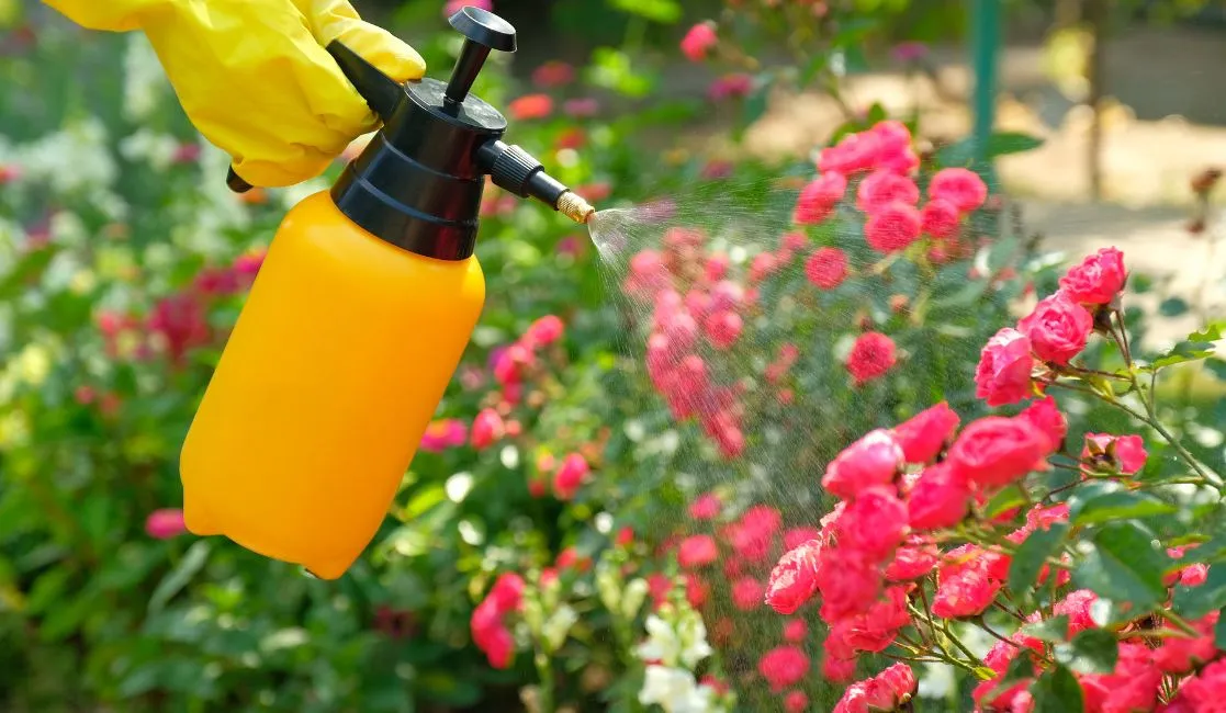 Pesticide spray can