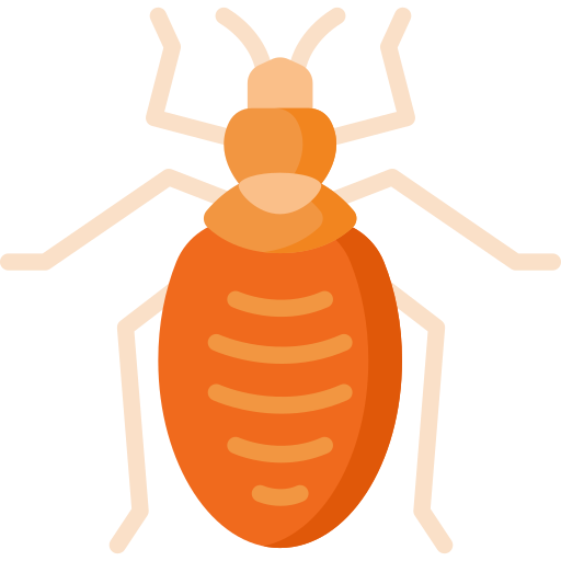 Bedbugs