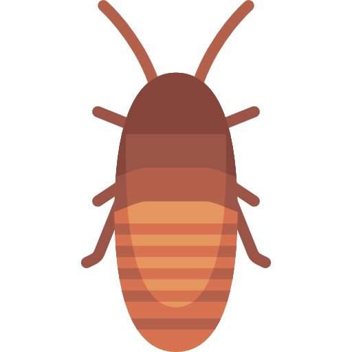 Cockroaches
