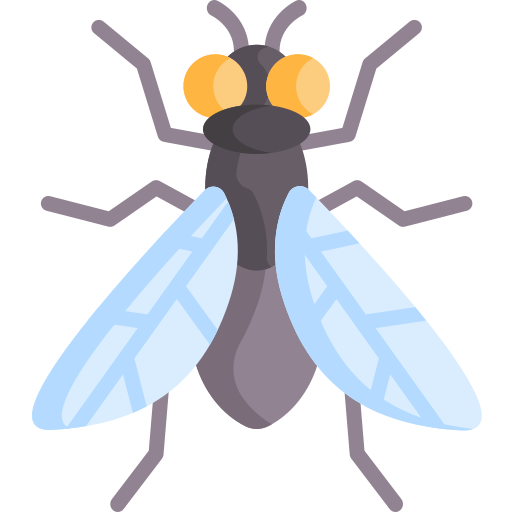 Flies