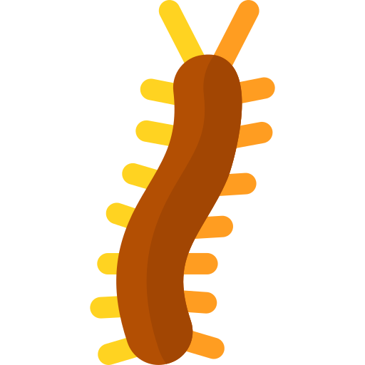 Millipede